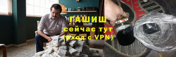 дмт Бородино