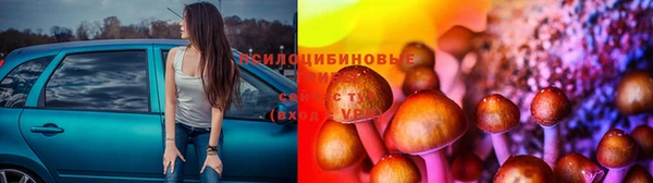 mdpv Волосово