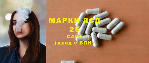 сатива Волоколамск