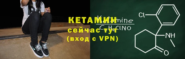 сатива Волоколамск