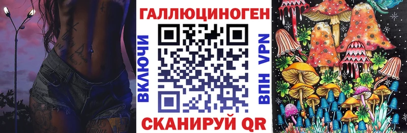 Галлюциногенные грибы Psilocybine cubensis  МЕГА ТОР  Всеволожск 